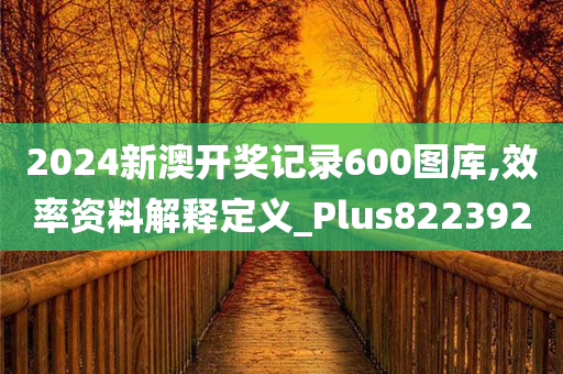 2024新澳开奖记录600图库,效率资料解释定义_Plus822392