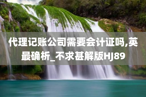 代理记账公司需要会计证吗,英最确析_不求甚解版HJ89