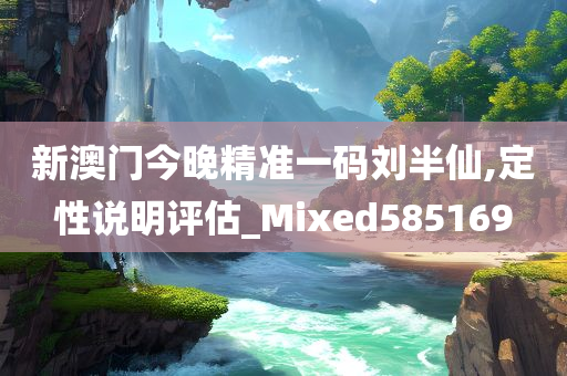 新澳门今晚精准一码刘半仙,定性说明评估_Mixed585169