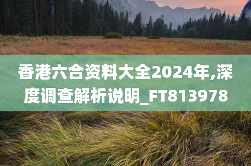 香港六合资料大全2024年,深度调查解析说明_FT813978