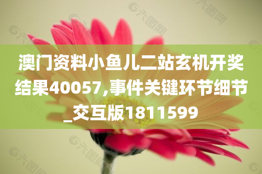 澳门资料小鱼儿二站玄机开奖结果40057,事件关键环节细节_交互版1811599