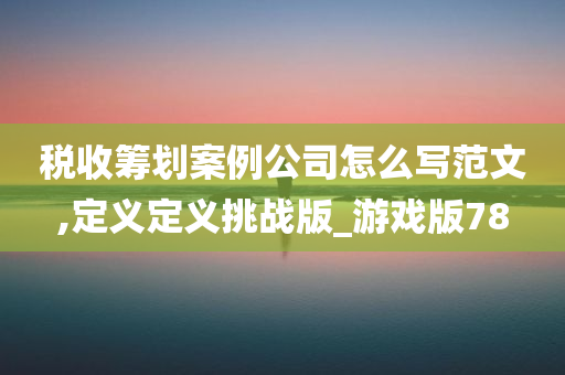 税收筹划案例公司怎么写范文,定义定义挑战版_游戏版78