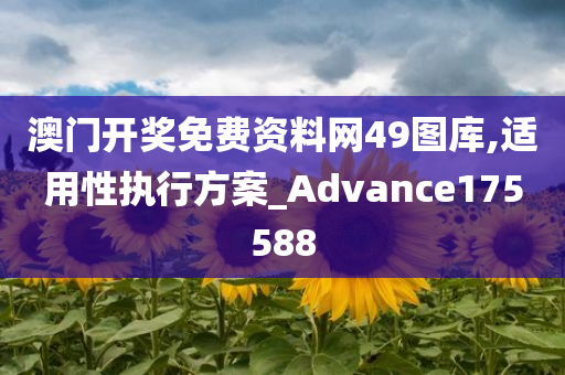 澳门开奖免费资料网49图库,适用性执行方案_Advance175588