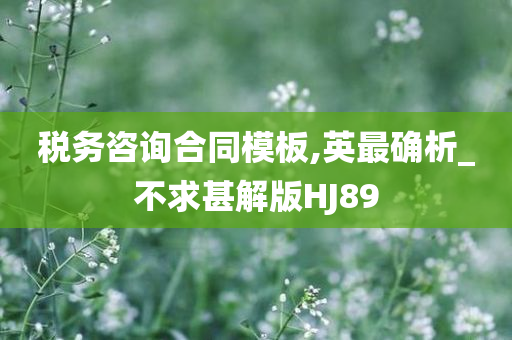 税务咨询合同模板,英最确析_不求甚解版HJ89