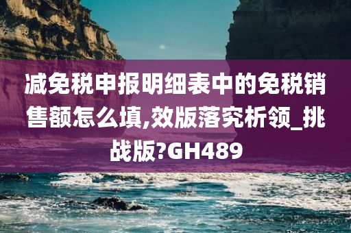 减免税申报明细表中的免税销售额怎么填,效版落究析领_挑战版?GH489