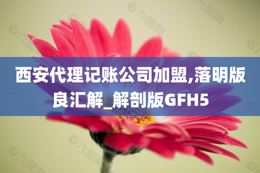 西安代理记账公司加盟,落明版良汇解_解剖版GFH5