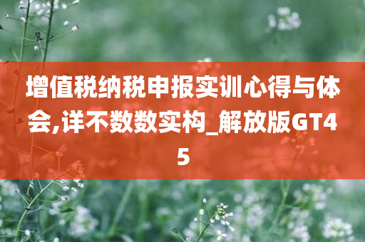 增值税纳税申报实训心得与体会,详不数数实构_解放版GT45