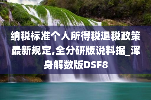 纳税标准个人所得税退税政策最新规定,全分研版说料据_浑身解数版DSF8