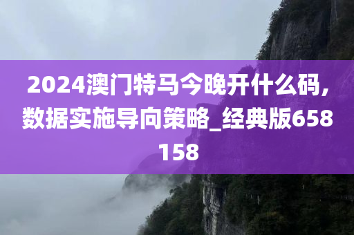 2024澳门特马今晚开什么码,数据实施导向策略_经典版658158