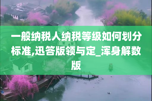 一般纳税人纳税等级如何划分标准,迅答版领与定_浑身解数版