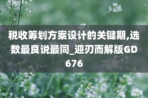 税收筹划方案设计的关键期,选数最良说最同_迎刃而解版GD676