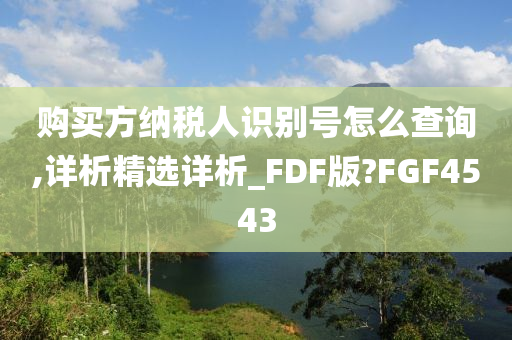 购买方纳税人识别号怎么查询,详析精选详析_FDF版?FGF4543