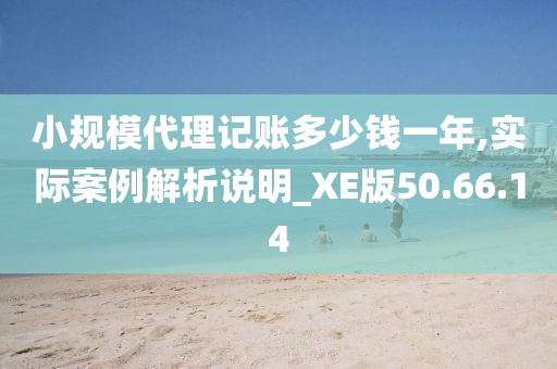 小规模代理记账多少钱一年,实际案例解析说明_XE版50.66.14