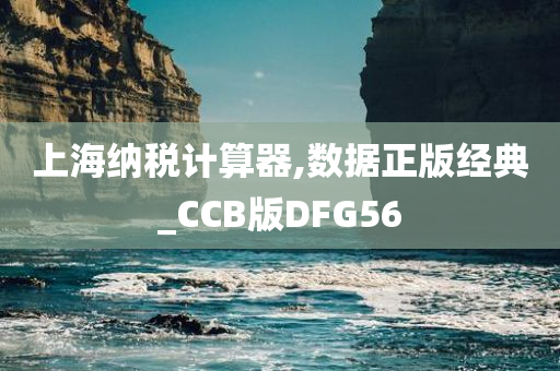 上海纳税计算器,数据正版经典_CCB版DFG56