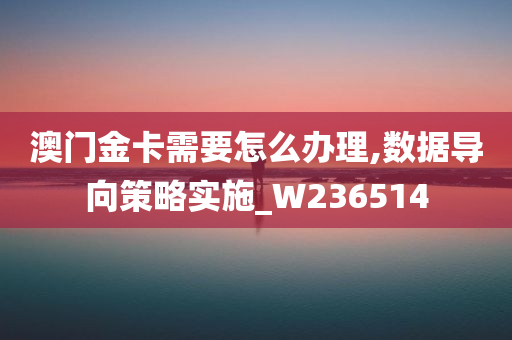 澳门金卡需要怎么办理,数据导向策略实施_W236514