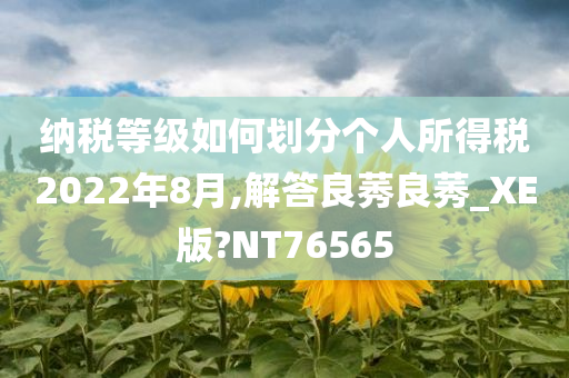 纳税等级如何划分个人所得税2022年8月,解答良莠良莠_XE版?NT76565