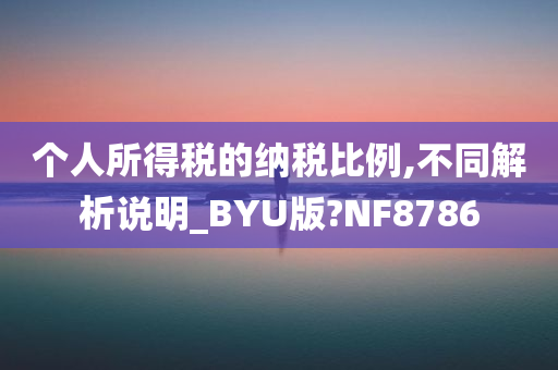 个人所得税的纳税比例,不同解析说明_BYU版?NF8786