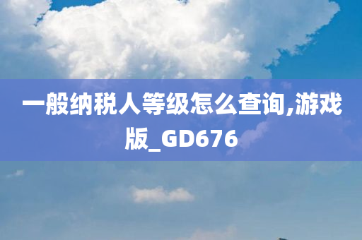 一般纳税人等级怎么查询,游戏版_GD676