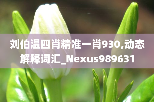 刘伯温四肖精准一肖930,动态解释词汇_Nexus989631