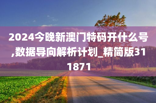 2024今晚新澳门特码开什么号,数据导向解析计划_精简版311871