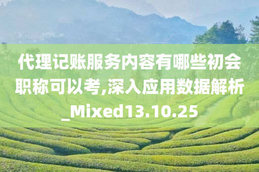 代理记账服务内容有哪些初会职称可以考,深入应用数据解析_Mixed13.10.25