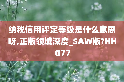 纳税信用评定等级是什么意思呀,正版领域深度_SAW版?HHG77