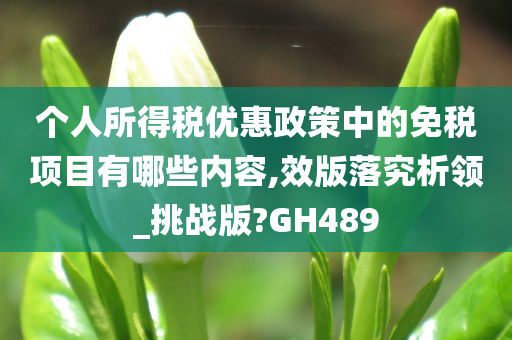 个人所得税优惠政策中的免税项目有哪些内容,效版落究析领_挑战版?GH489