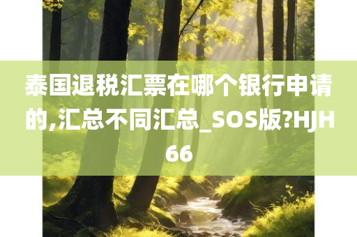 泰国退税汇票在哪个银行申请的,汇总不同汇总_SOS版?HJH66