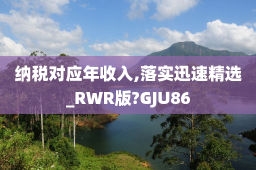 纳税对应年收入,落实迅速精选_RWR版?GJU86