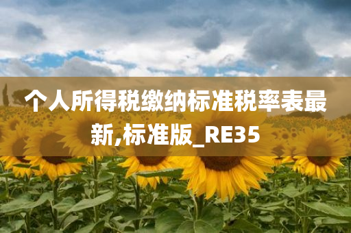 个人所得税缴纳标准税率表最新,标准版_RE35