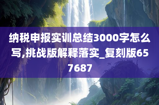 纳税申报实训总结3000字怎么写,挑战版解释落实_复刻版657687