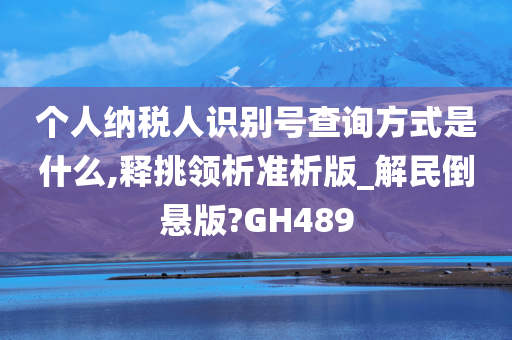 个人纳税人识别号查询方式是什么,释挑领析准析版_解民倒悬版?GH489