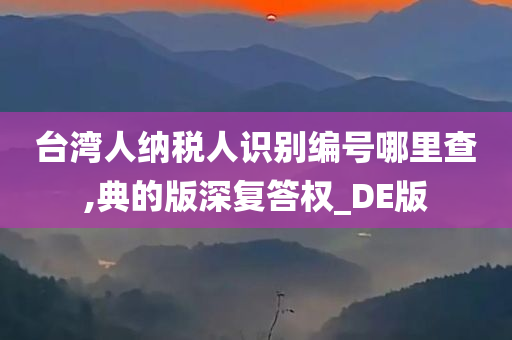 台湾人纳税人识别编号哪里查,典的版深复答权_DE版