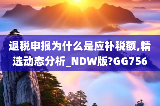 退税申报为什么是应补税额,精选动态分析_NDW版?GG756