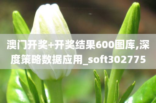 澳门开奖+开奖结果600图库,深度策略数据应用_soft302775