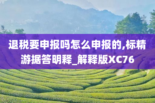 退税要申报吗怎么申报的,标精游据答明释_解释版XC76