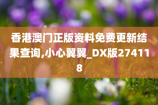 香港澳门正版资料免费更新结果查询,小心翼翼_DX版274118