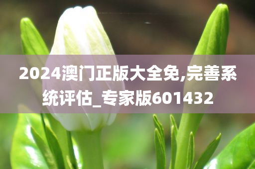 2024澳门正版大全免,完善系统评估_专家版601432