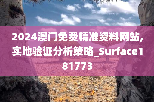 2024澳门免费精准资料网站,实地验证分析策略_Surface181773