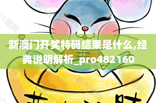 新澳门开奖特码结果是什么,经典说明解析_pro482160