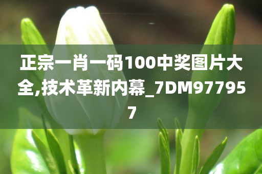 正宗一肖一码100中奖图片大全,技术革新内幕_7DM977957