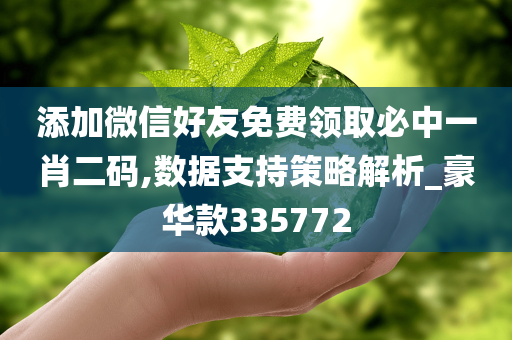 添加微信好友免费领取必中一肖二码,数据支持策略解析_豪华款335772