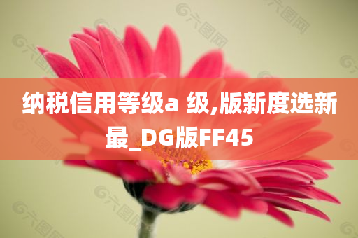 纳税信用等级a 级,版新度选新最_DG版FF45