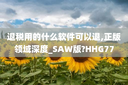 退税用的什么软件可以退,正版领域深度_SAW版?HHG77