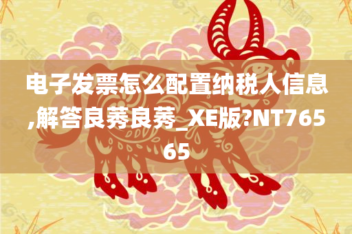 电子发票怎么配置纳税人信息,解答良莠良莠_XE版?NT76565