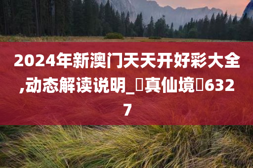 2024年新澳门天天开好彩大全,动态解读说明_‌真仙境‌6327