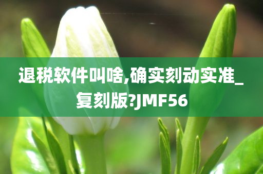 退税软件叫啥,确实刻动实准_复刻版?JMF56