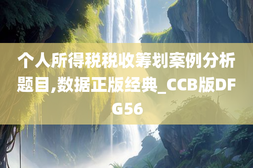 个人所得税税收筹划案例分析题目,数据正版经典_CCB版DFG56