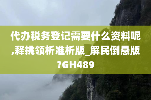 代办税务登记需要什么资料呢,释挑领析准析版_解民倒悬版?GH489