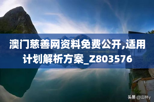 澳门慈善网资料免费公开,适用计划解析方案_Z803576